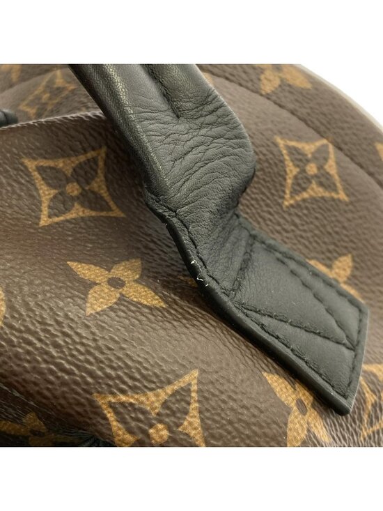 Louis Vuitton Monogram Palm Springs Backpack PM main image 8